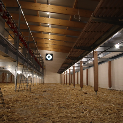 20220817093653_IMG_5648