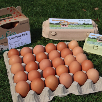 20220817114659_IMG_5677