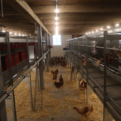 20231019092859_IMG_6892