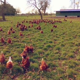 49ad76b0-2abf-4c1e-903d-52300d960cb0