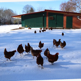 75c55db2-b642-4c3e-991e-f39f23b4c0ec